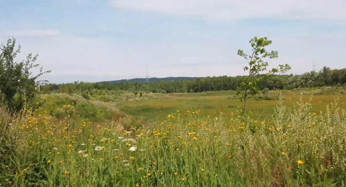 Bassin de l'Astrolabe