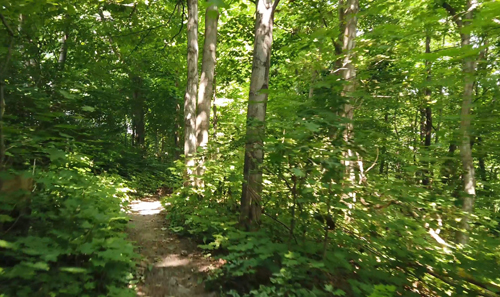 Sentiers du parc Bon Pasteur