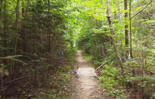 Le Chemin de la Liberté